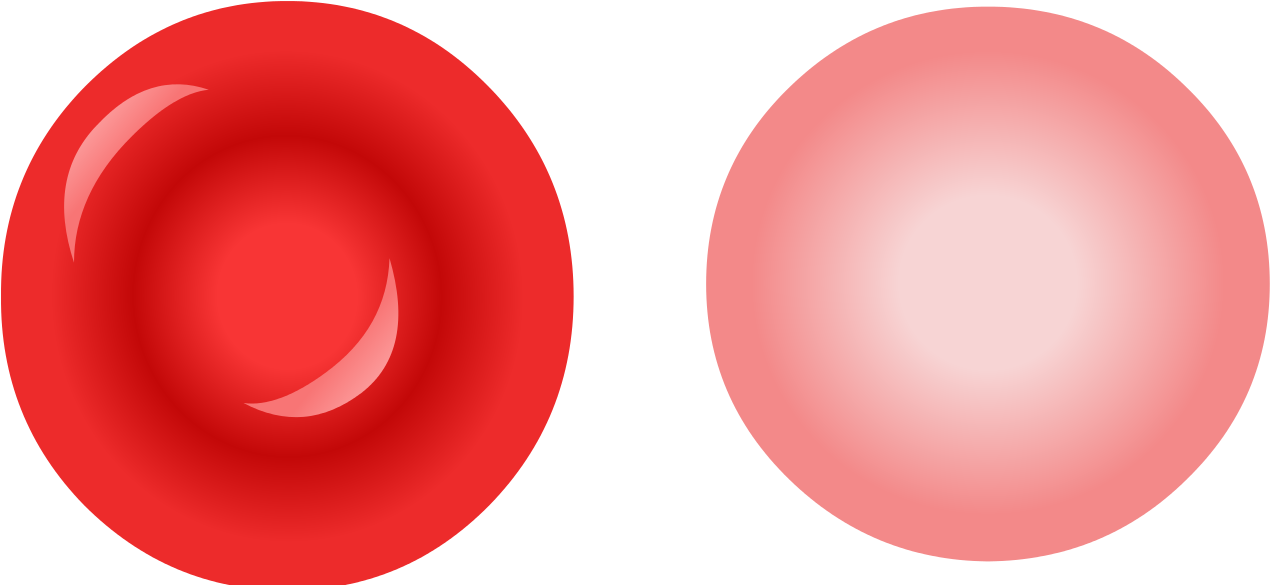 Erythrocyte - Plan Do Check Act (1280x584)