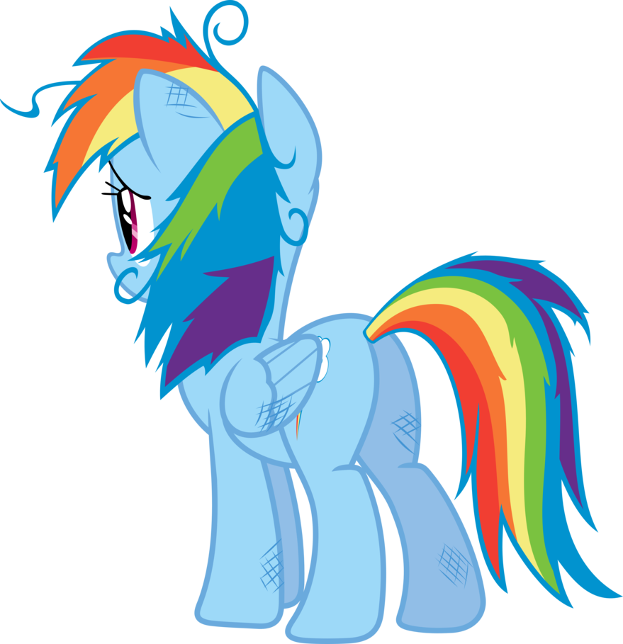 Disheveled Rainbow Dash By Sairoch - My Little Pony Rainbow Dash Back (879x909)