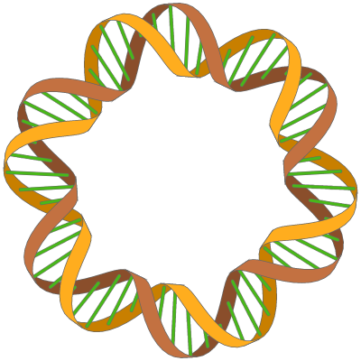 Enter Image Description Here - Dna Damage (400x400)