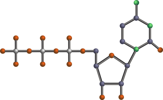 Nucleotide Dna Pyrimidine Rna Biology Chem - Drawing Of Atp (551x340)