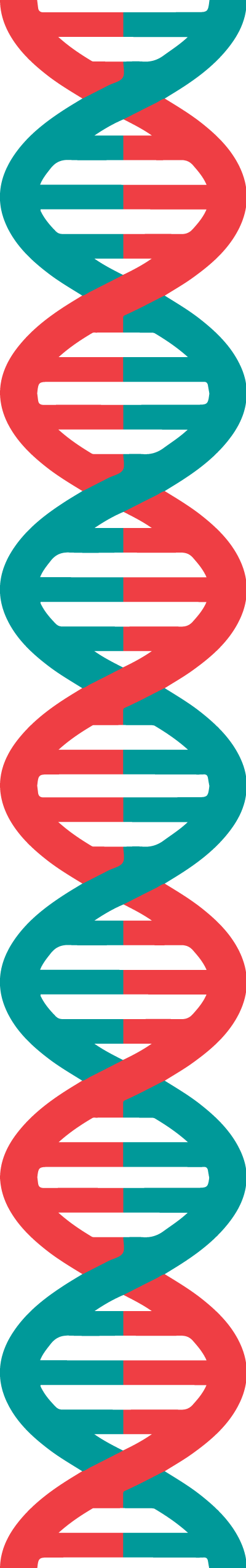 Structure And Function Of The Bacterial Cell Envelope - Long Dna Strand Png (400x2551)