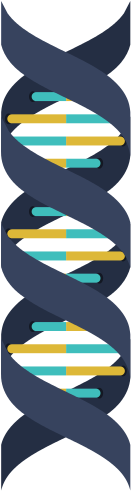 Dna Structure - Dna (550x550)