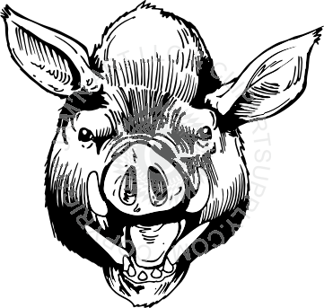 Wild Boar Head Facing Forward - Wild Boar Head Drawing (361x343)