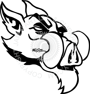 Wild Boar Head Facing Right Side - Wild Boar Head Facing Right Side (345x361)