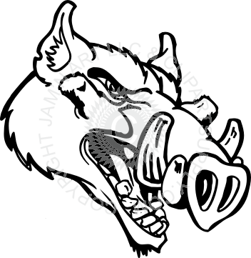 Fierce Wild Boar Head - Fierce Wild Boar Head (352x361)