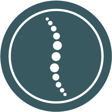 Common Ailments Chiropractic Can Treat - Chiropractic (374x373)