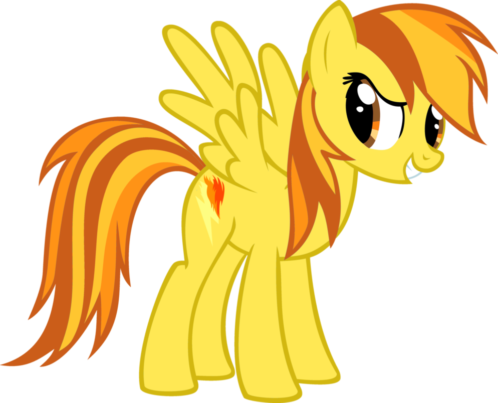 My Little Pony Rainbow Dash And Spitfire - Derpy Hooves Cutie Mark (994x804)