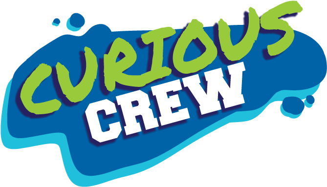 Curious Crew - Crew Bag/luggage Tag Scull Team Light Blue/blue (720x432)