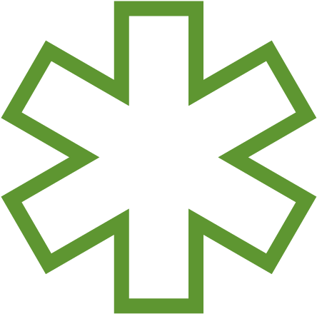 Immediate Care, In Your Neighborhood - Star Of Life (503x472)