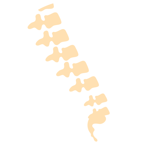 Icon Spine X Ray Circle Hcadmin 2017 09 14t23 - Circle (512x512)