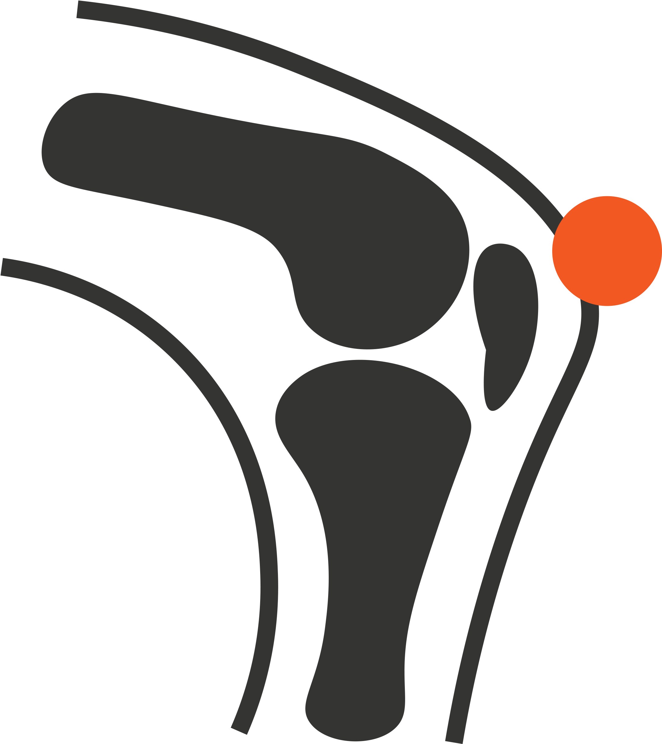 Neck And Back Pain- Car Accident - Pain In Spine (3179x2958)