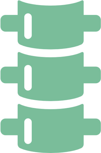 Physical - Vertebral Column (512x512)