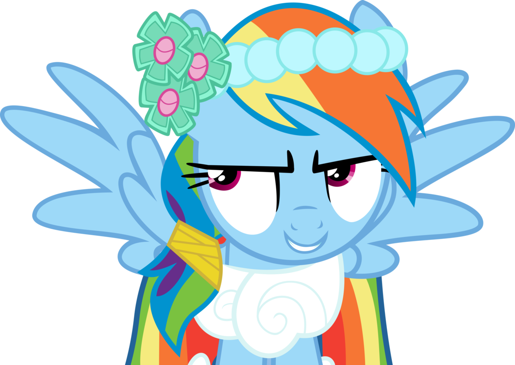 Rainbow Dash's Cue Vector By Dutchcrafter - My Little Pony: Friendship Is Magic (1061x753)