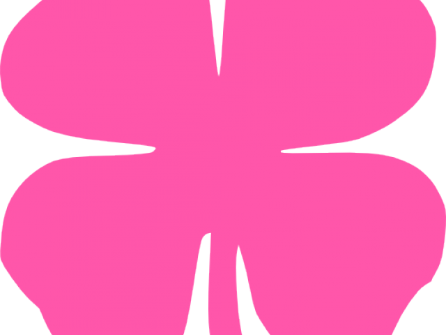 Shamrock Clipart Corned Beef Cabbage - Čtyřlístek (640x480)