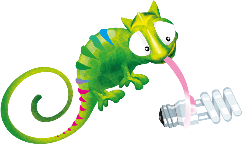 Chami Lightbulb - Incandescent Light Bulb (1000x713)