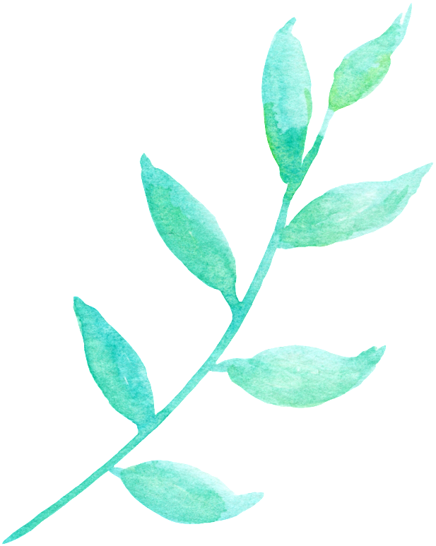 Sunlight And Green Leaf Cartoon Transparent Material - Calligraphy Flower Paint Png (650x821)