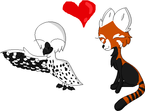 Snowy Owl And Red Panda By Hidden Mask - Red Panda And Owl (579x414)