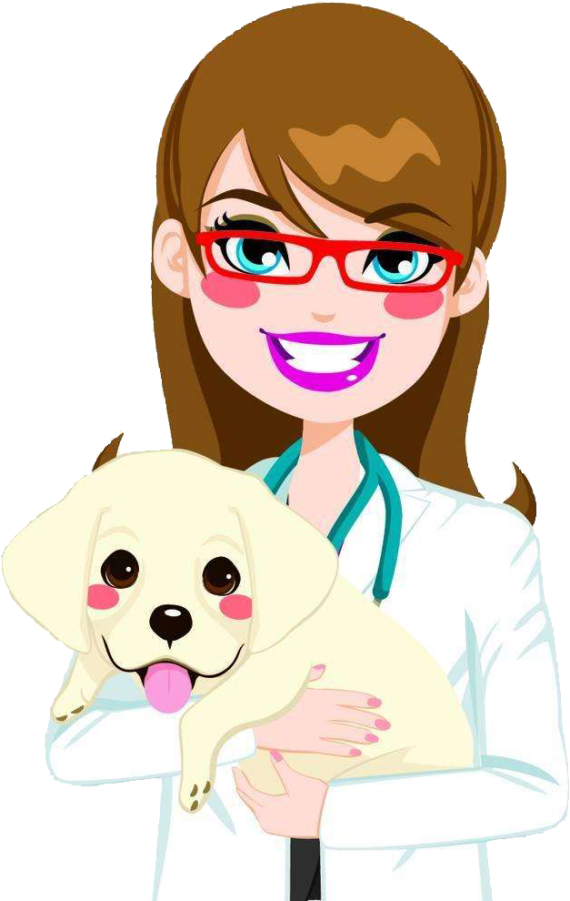Labrador Retriever Golden Retriever Puppy Veterinarian - Veterinarian Clipart (1000x1000)
