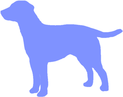 Standing Labrador Retriever Decal - Labrador Love Throw Blanket (480x368)