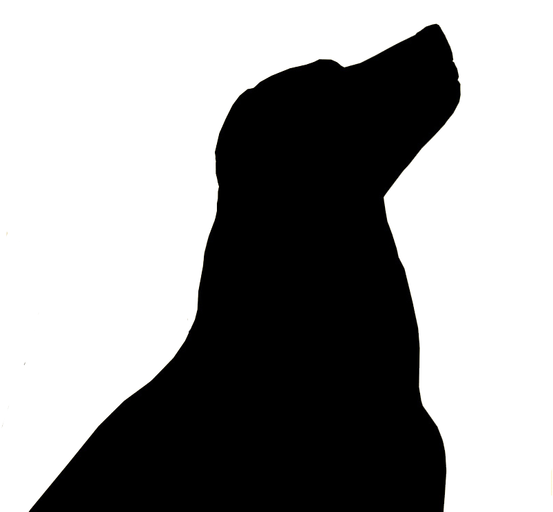 Welcome To Bear Creek Labs - Silhouette Of A Black Lab (809x743)