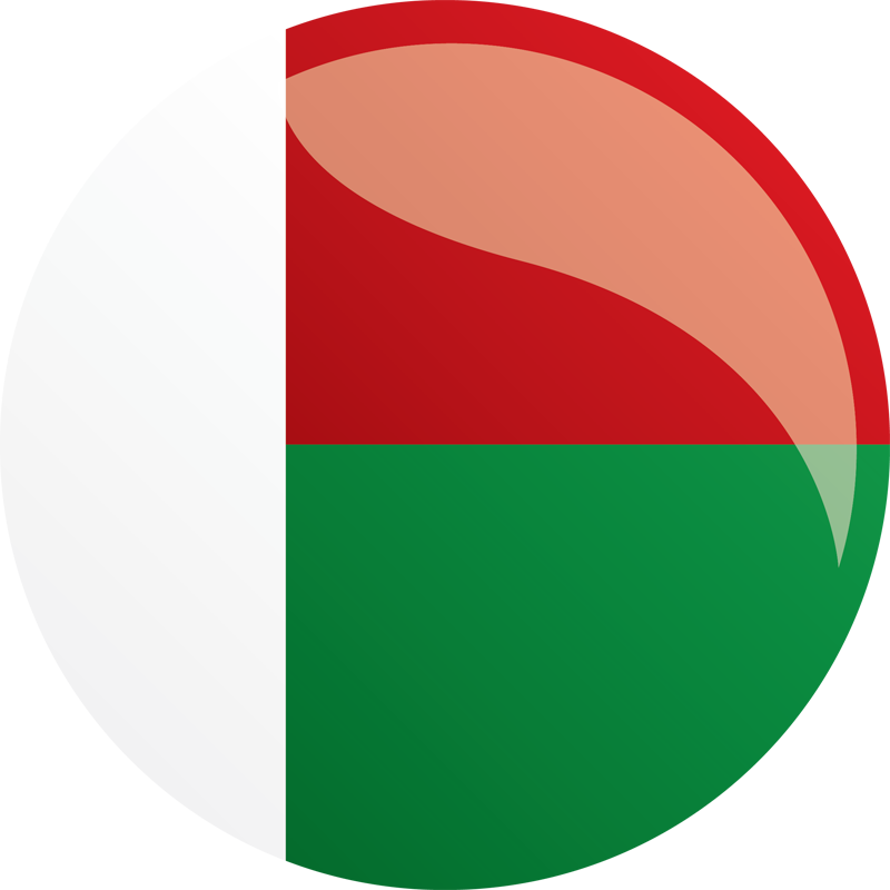 Madagascar Compact - Flag Of Madagascar (800x800)