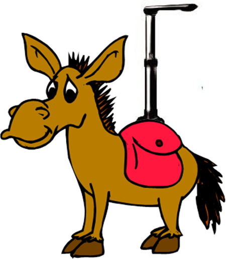 Visual Teaching And Learning - Hayling Island Donkey Derby (450x515)