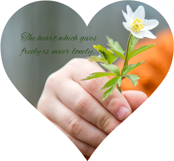 She Suggests So Many Fabulous And Doable Service Programs - Grateful Words (917x563)