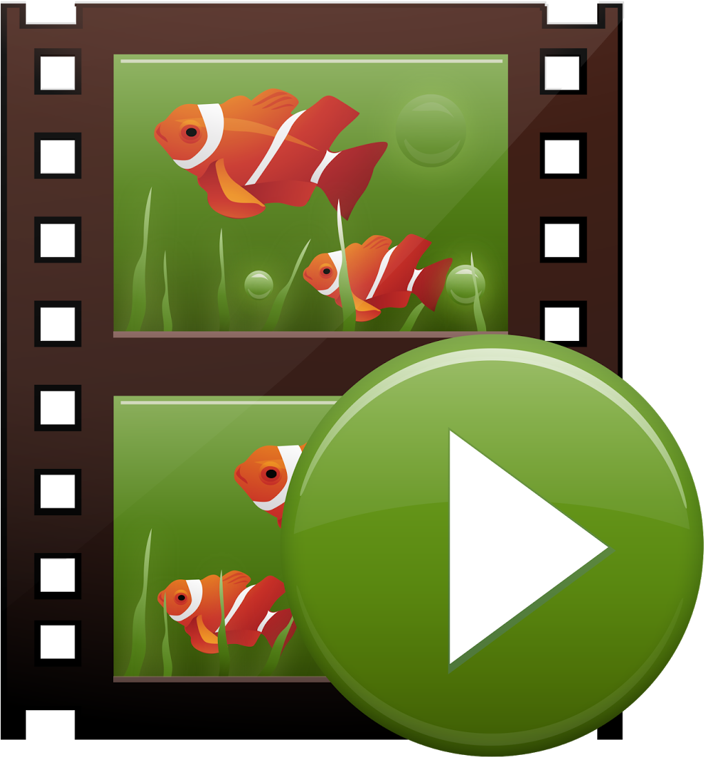 Although Document Cameras Are Easy To Use, It Is Rare - Filmstrip (1600x1216)