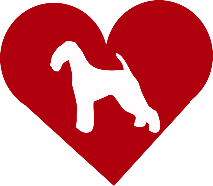 Airedale Terrier In Heart Outdoor Vinyl Silhouette - Companion Dog (732x640)