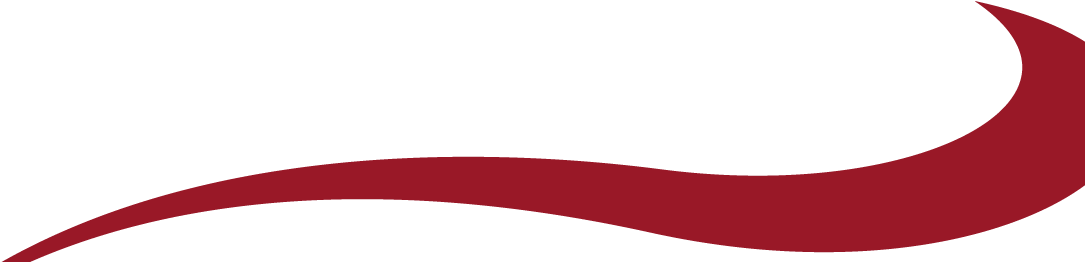 New - Flag (1102x272)