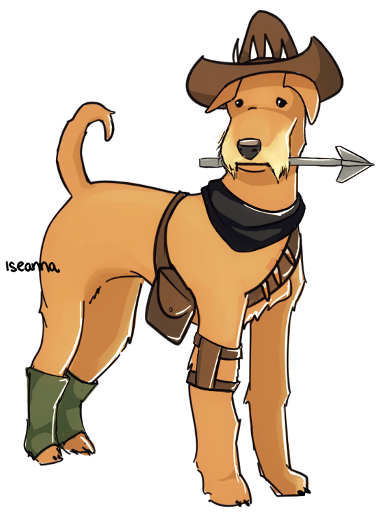 Griffin As An Irish Terrier Welpen - Airedale Terrier (626x800)
