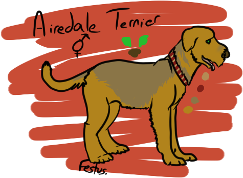Airedale Terrier-belongs - Dog Catches Something (475x347)