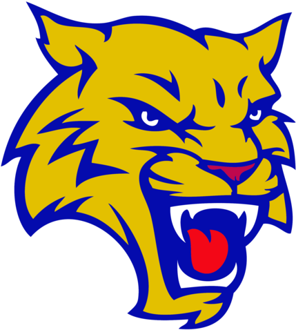 The Wolvo Wildcats - Will C Wood Wildcats (482x500)