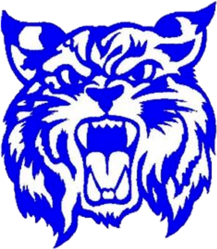 Rauner College Prep Logo - Northwestern High School Wildcats (720x817)