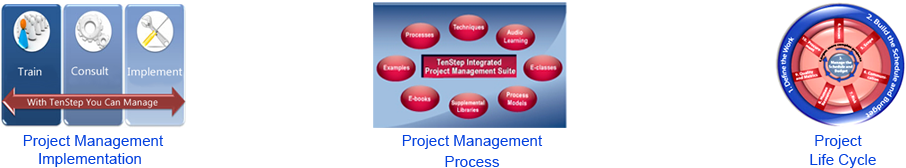 The Mission Is To Provide A Proven, Superior Project, - Project Management Process (960x270)