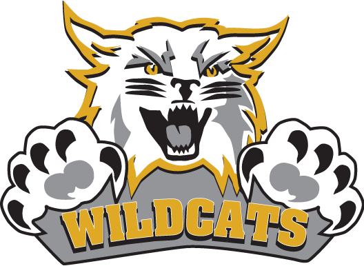 Weber State Wildcats (528x386)