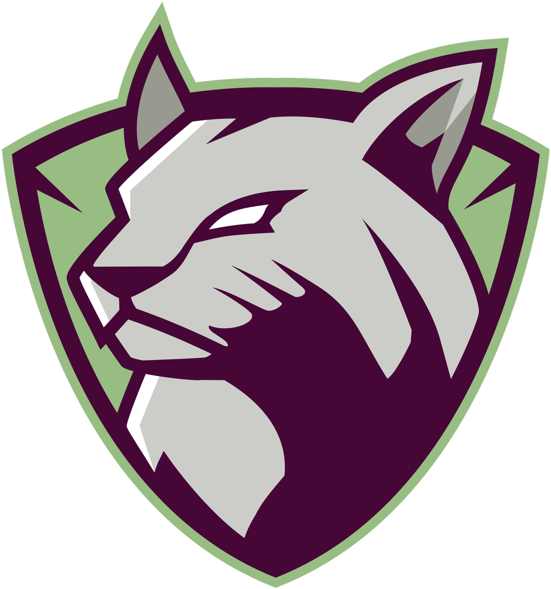 Willard Wildcats Logo - Loudoun Willard Intermediate School (1200x1200)