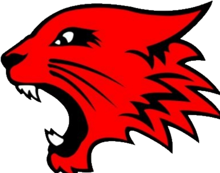 Bath County Logo - High School Musical Wildcats (720x557)