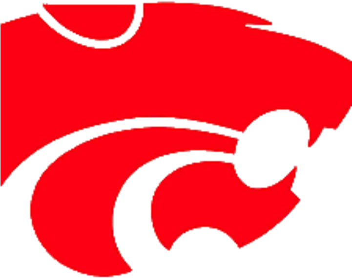 Carlisle Wildcats - West Ashley High School Logo (720x720)