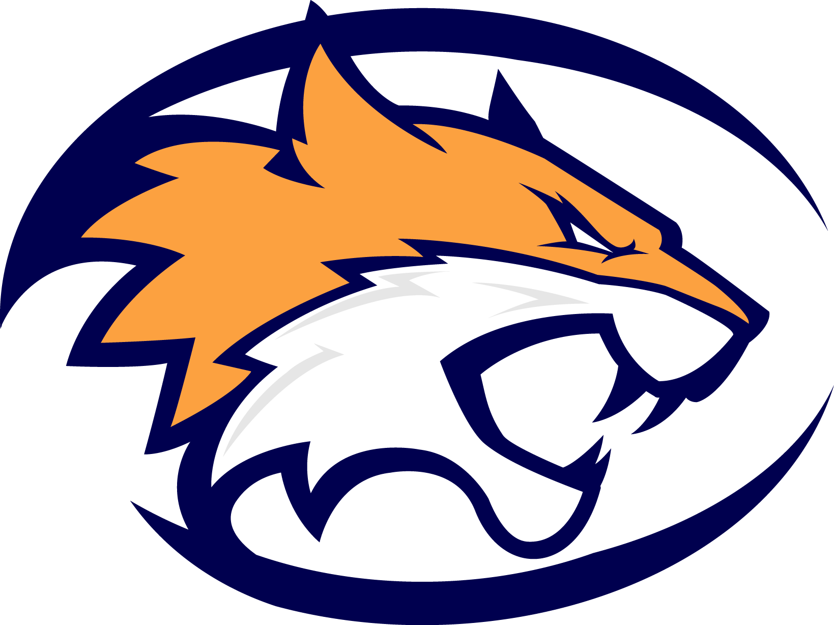 Worcester Wildcats Football - Arizona Wildcats (1639x1228)