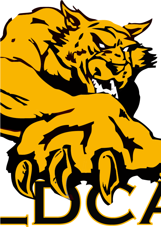 95.1 Cat Country (557x834)