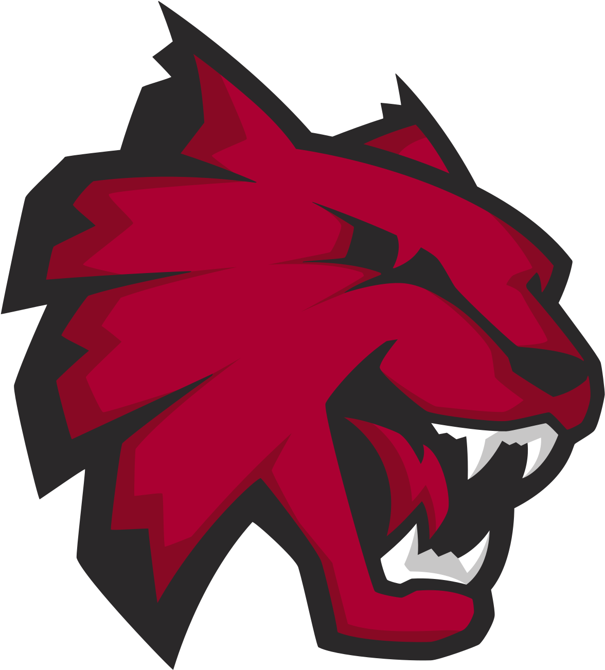 Central Washington University Mascot (1200x1323)