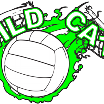 Wildcat Volleyball - Wildcat Volleyball (400x400)