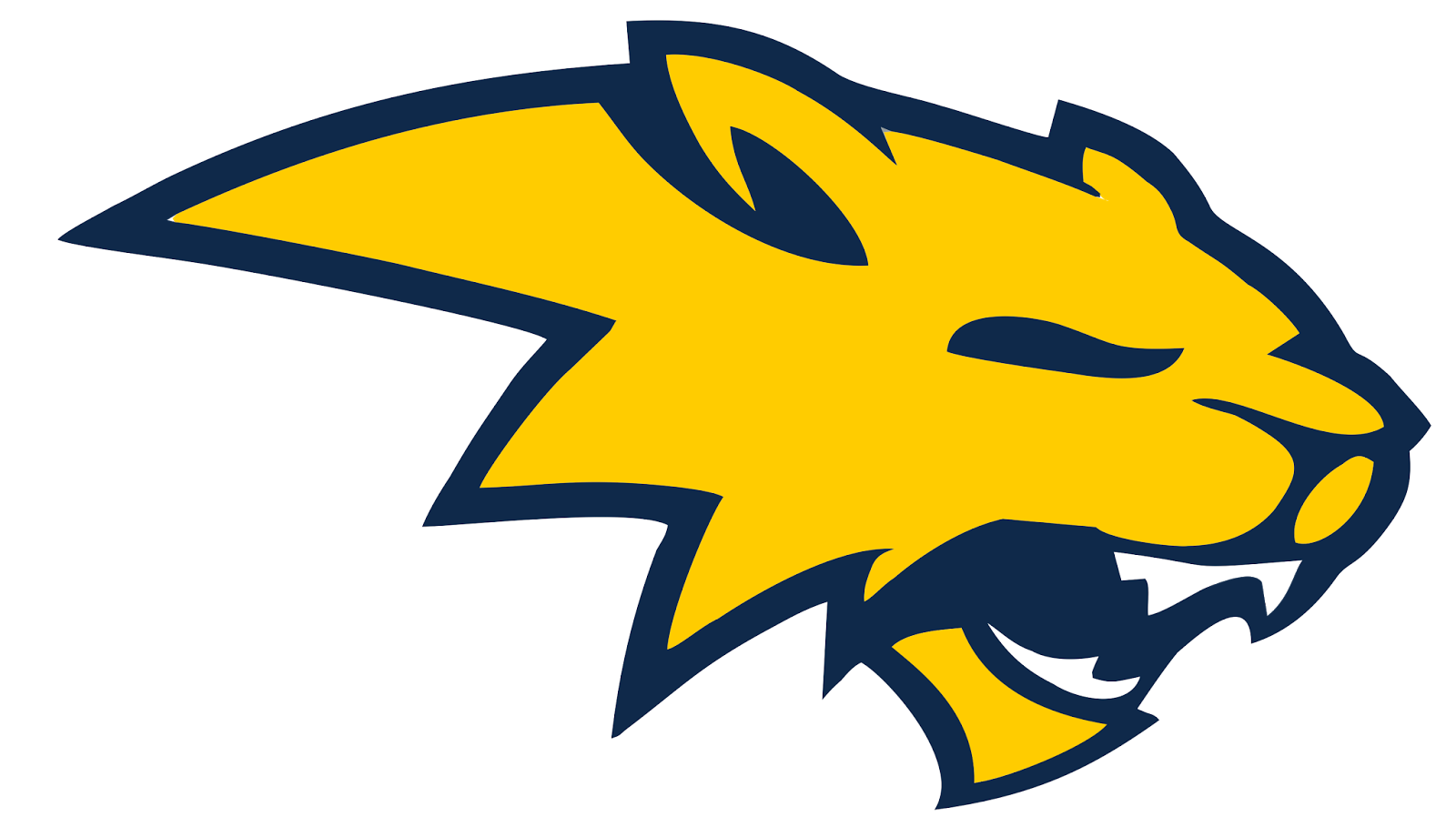 Neuqua Valley High School Logo (1600x920)