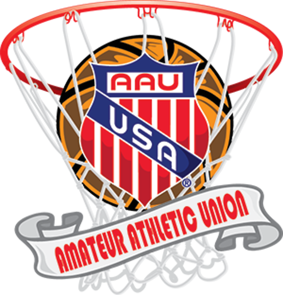 Team Parsons 15u 17u Teams - Aau Nationals Basketball 2017 (577x600)
