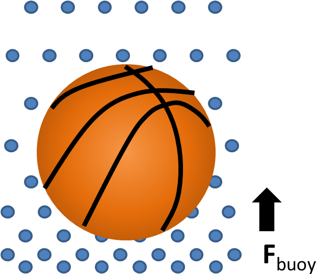 Buoy Ball - Buoyant Force Basketball (644x567)