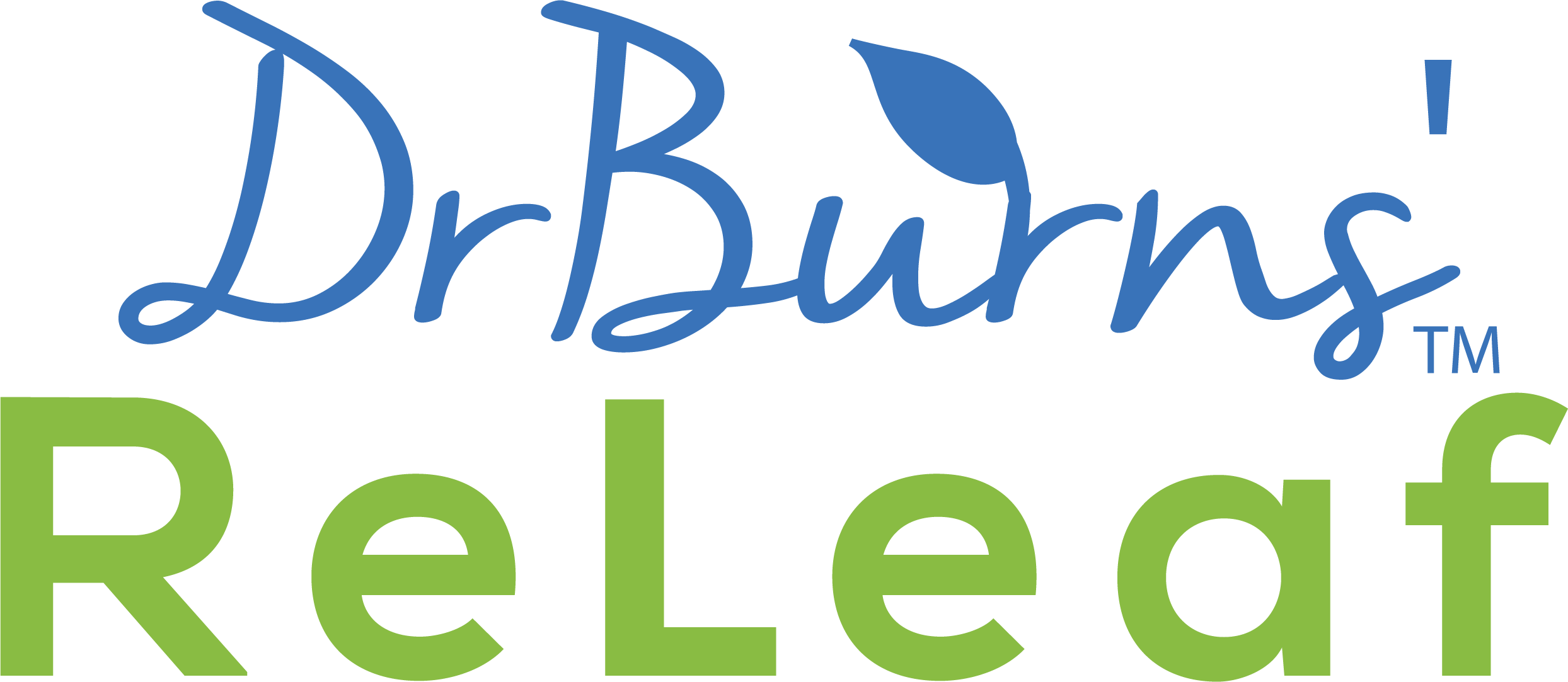 Burchell's Travels By Susan Buchanan (2488x1083)