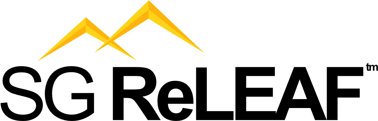 Scatola Del Tempo Logo (1300x500)