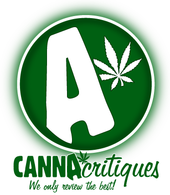 Cannacritiques - Vileda Steam Mop 1550 Watt (340x388)