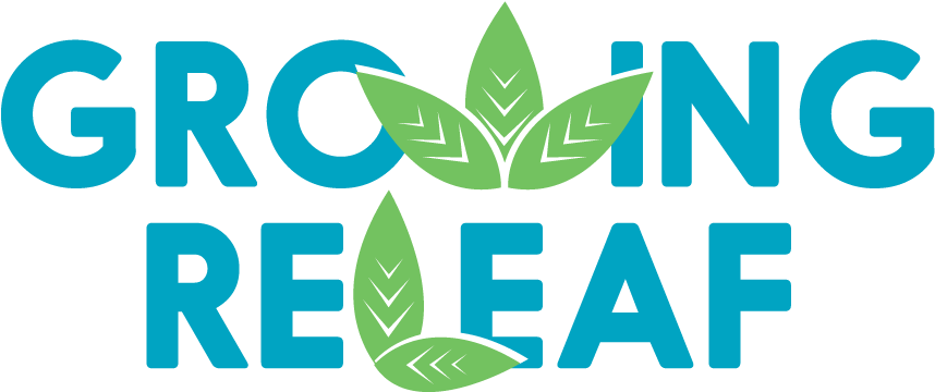 Recreational & Medical Marijuana Dispensaries Near - Mug (1008x429)